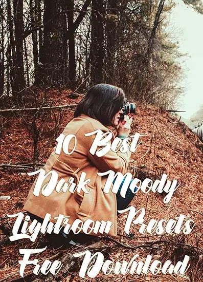 best moody presets for lightroom pirate bay